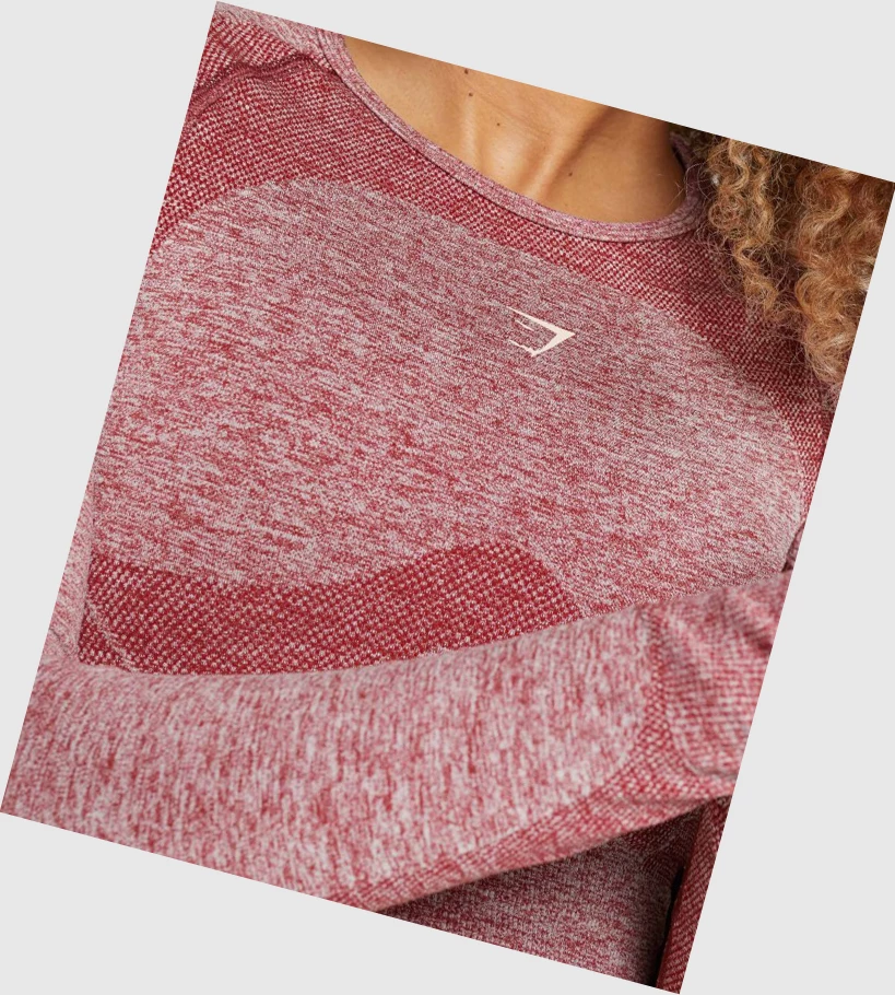 Gymshark Flex Sports Crop Top Naisten T Paidat Viininpunainen | GZBUNF936