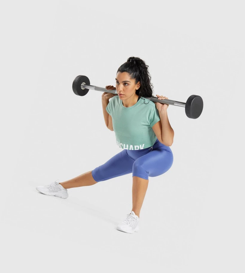 Gymshark Fraction Crop Top Naisten Puserot Sininen | CBLPOK391