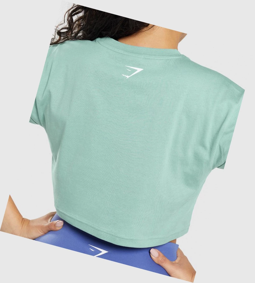 Gymshark Fraction Crop Top Naisten Puserot Sininen | CBLPOK391