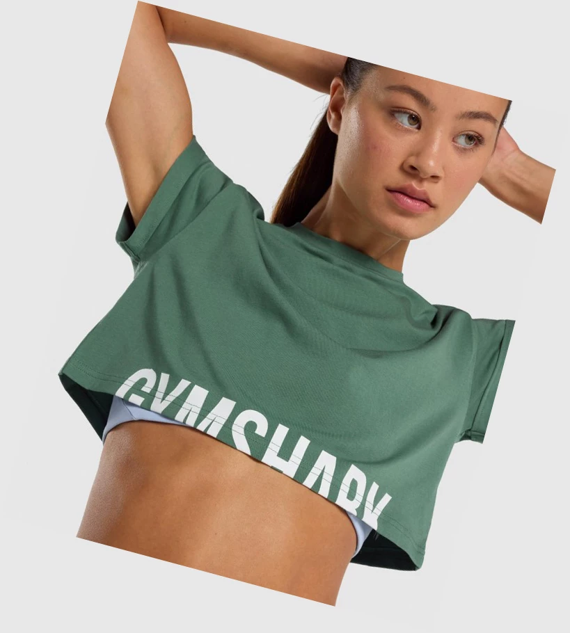 Gymshark Fraction Crop Top Naisten Puserot Vihreä | DULYIG942