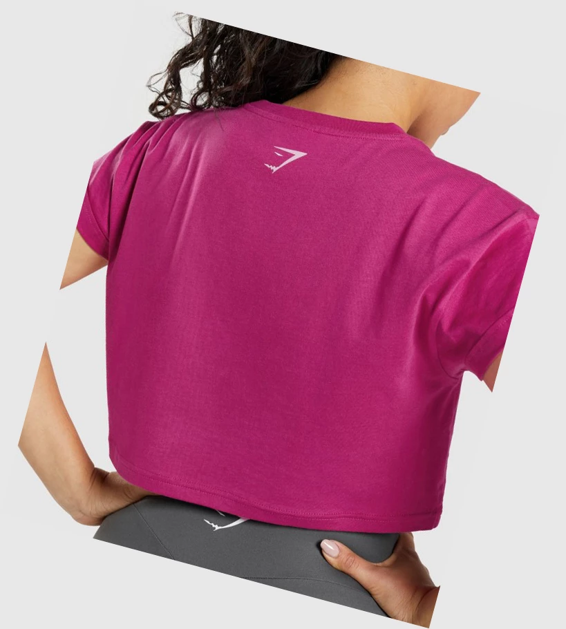 Gymshark Fraction Crop Top Naisten Puserot Pinkki | OCDMZQ140