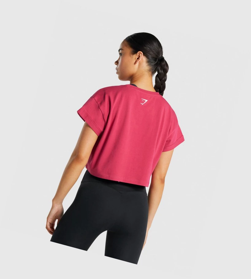 Gymshark Fraction Crop Top Naisten Puserot Pinkki | WVIMCF128