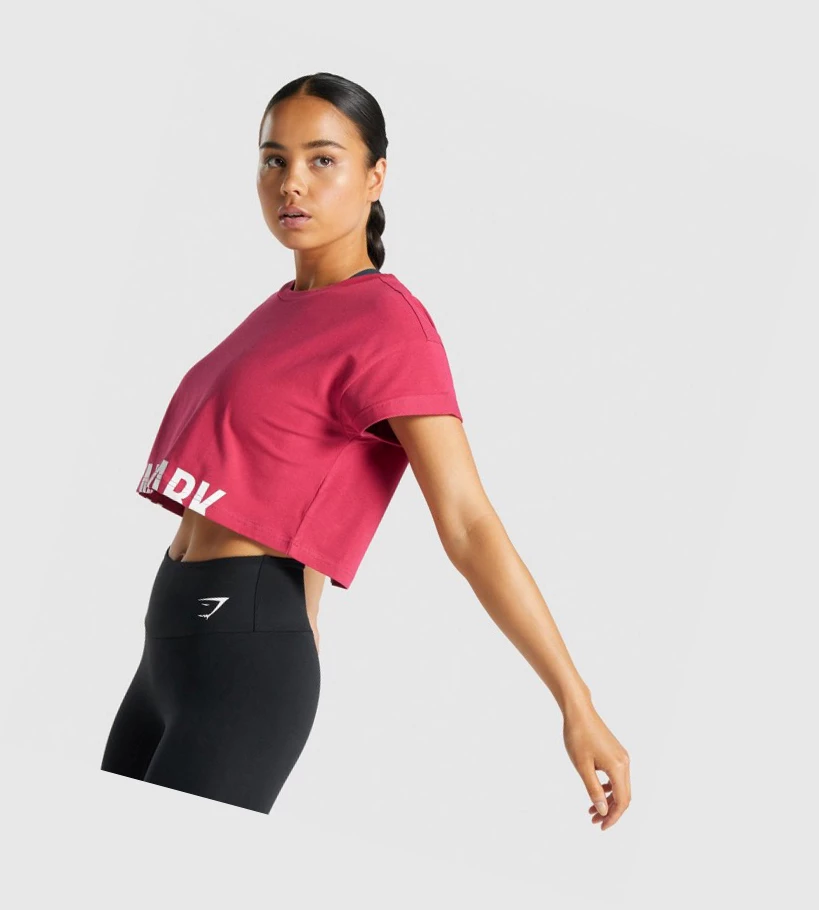 Gymshark Fraction Crop Top Naisten Puserot Pinkki | WVIMCF128
