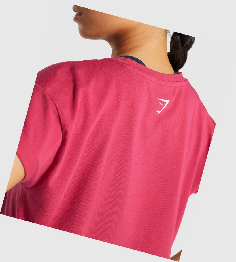 Gymshark Fraction Crop Top Naisten Puserot Pinkki | WVIMCF128