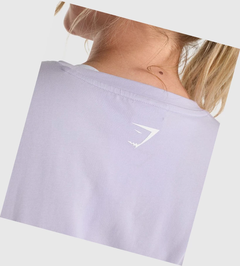 Gymshark Fraction Crop Top Naisten Puserot Vaaleanvioletit | ZWGIQV938