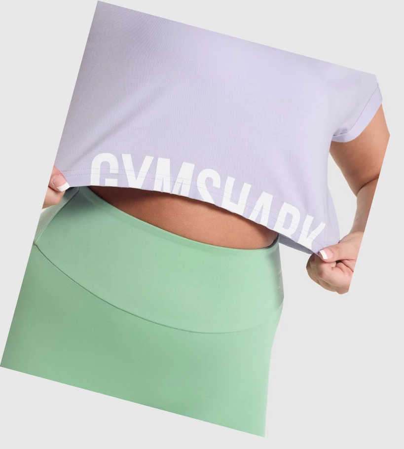 Gymshark Fraction Crop Top Naisten Puserot Vaaleanvioletit | ZWGIQV938