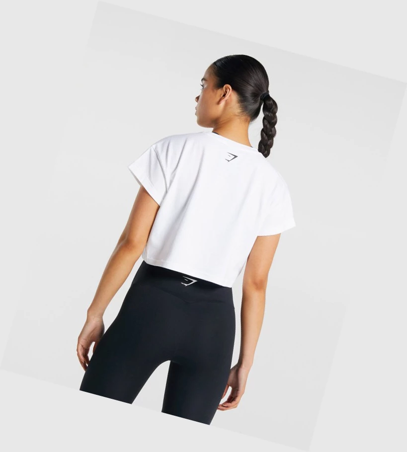 Gymshark Fraction Crop Top Naisten T Paidat Valkoinen | DOWJFI750