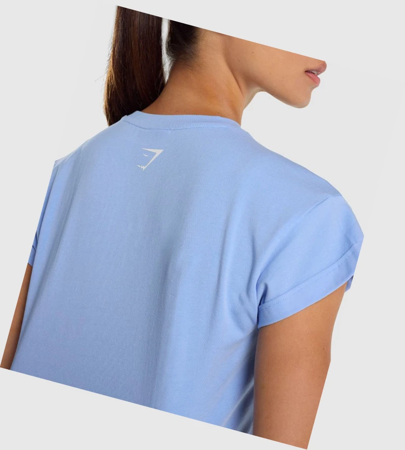 Gymshark Fraction Crop Top Naisten T Paidat Vaaleansininen | SVLIJE950