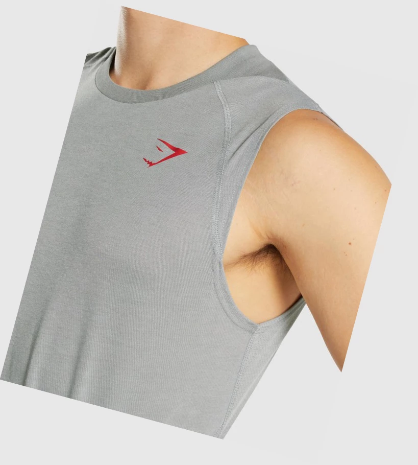 Gymshark Hyper Power Miesten Hihaton Paita Harmaat | JVQUNI619