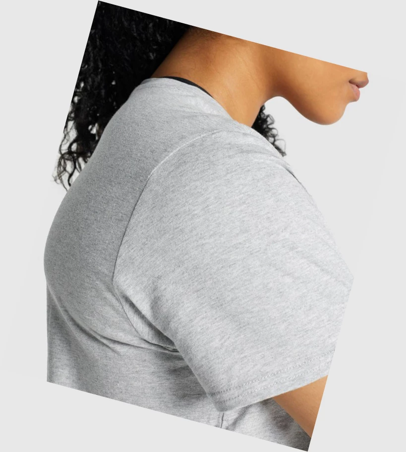 Gymshark Koulutus Basic Naisten T Paidat Vaaleanharmaat | GIDSKU912