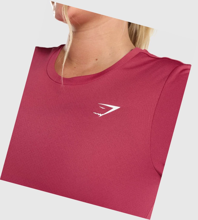 Gymshark Koulutus Naisten T Paidat Pinkki | XHJWCQ391