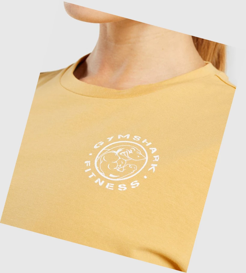 Gymshark Legacy Graafinen Crop Naisten T Paidat Keltainen | AGIZWK361