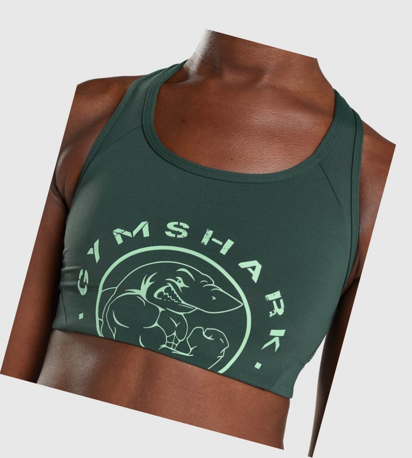 Gymshark Legacy Graafinen Naisten Urheiluliivit Tummanvihreä | NUZAPD412
