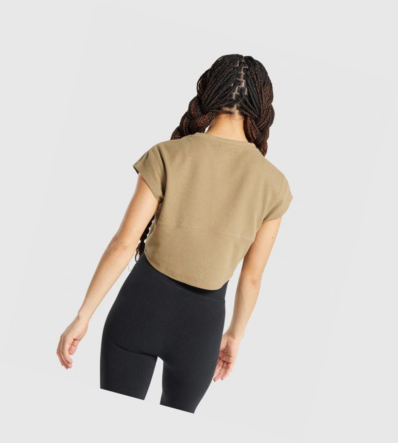Gymshark Pause Crop Top Naisten T Paidat Vaaleanruskea | WKHITQ812