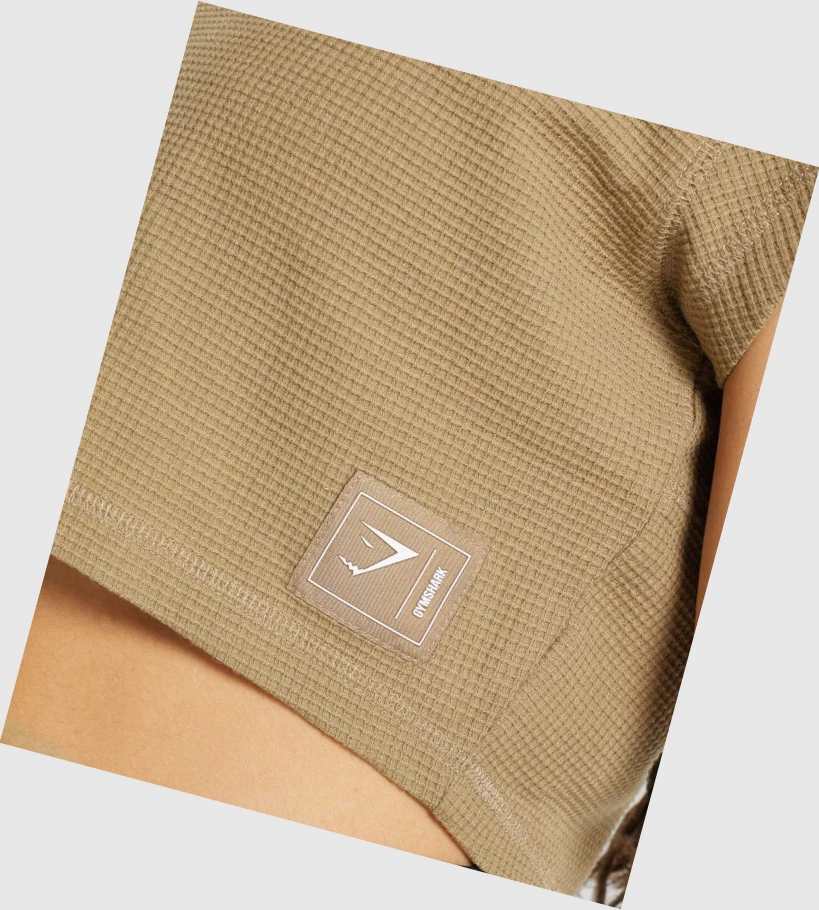 Gymshark Pause Crop Top Naisten T Paidat Vaaleanruskea | WKHITQ812