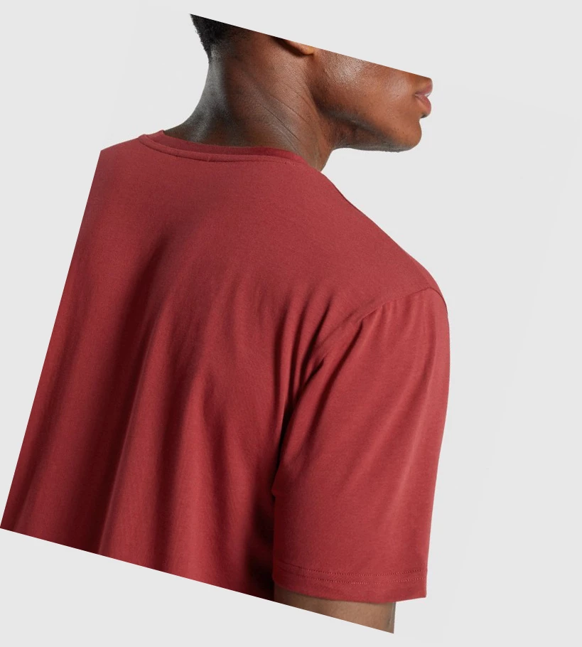Gymshark Sharkhead Infill Miesten T Paidat Viininpunainen | EHZBPK652