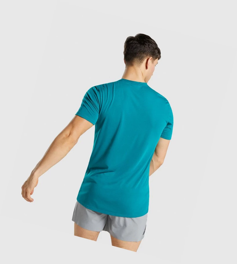 Gymshark Sports Miesten T Paidat Turkoosi | YWRXJA893