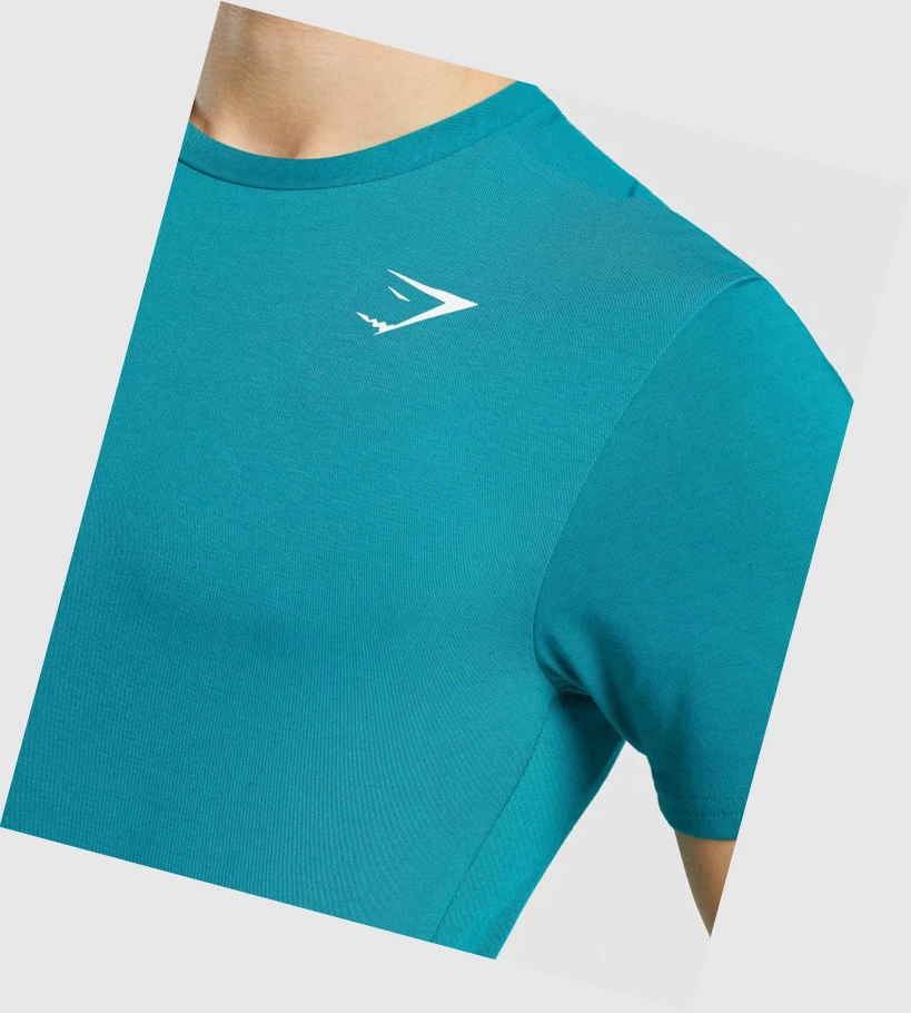 Gymshark Sports Miesten T Paidat Turkoosi | YWRXJA893