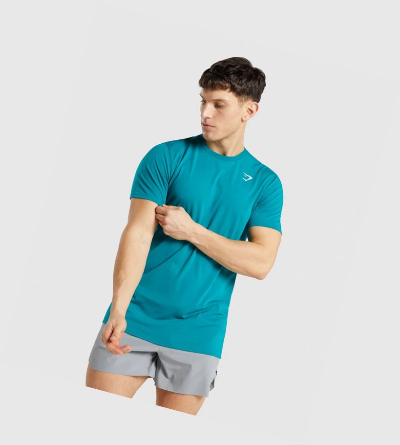Gymshark Sports Miesten T Paidat Turkoosi | YWRXJA893