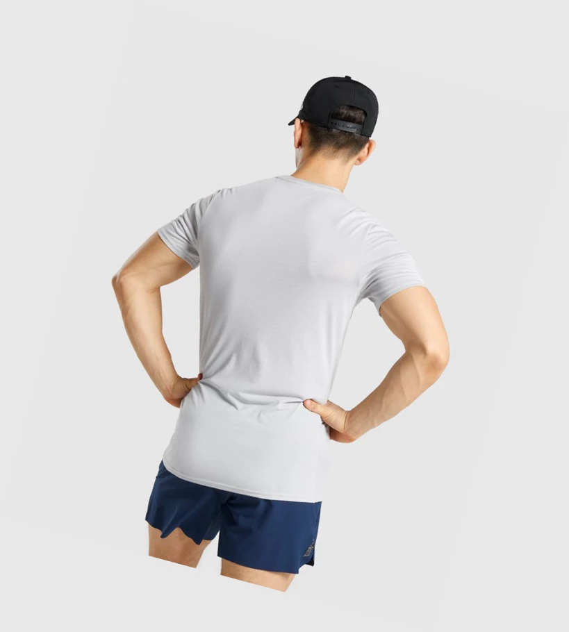 Gymshark Sports Miesten T Paidat Vaaleanharmaat | BEKGJO380
