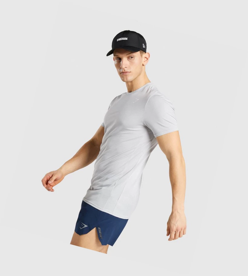 Gymshark Sports Miesten T Paidat Vaaleanharmaat | BEKGJO380