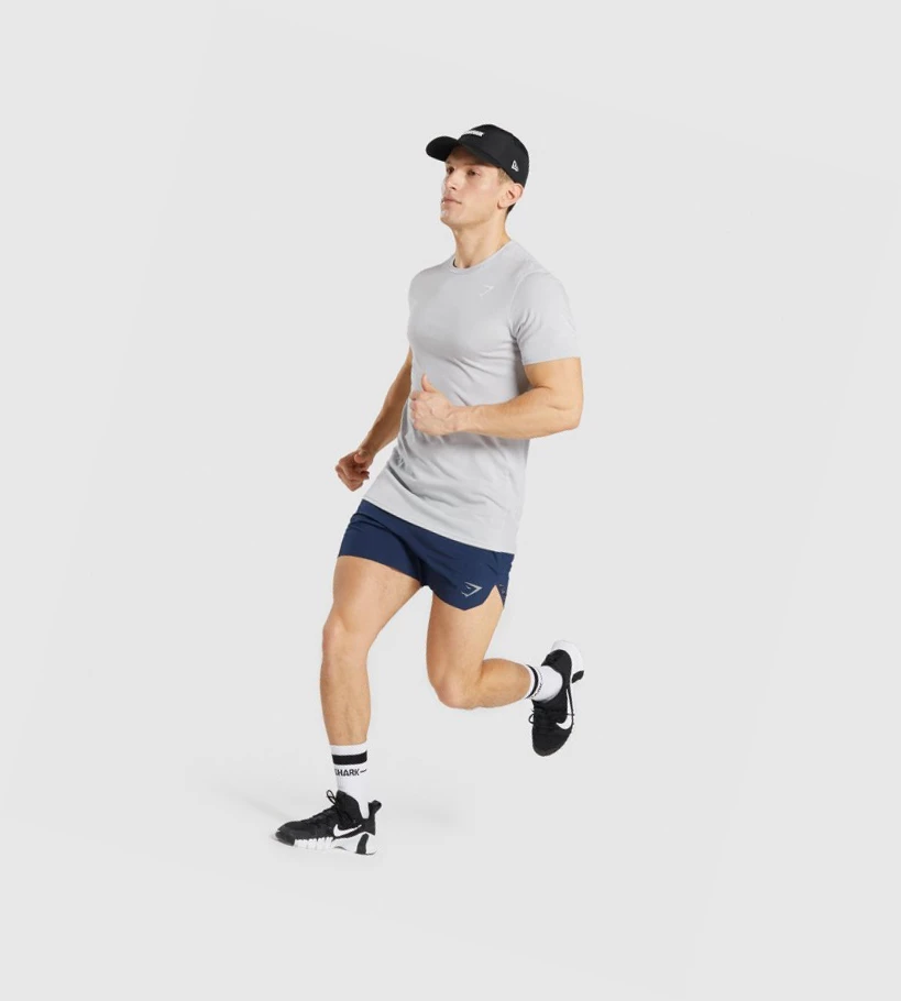 Gymshark Sports Miesten T Paidat Vaaleanharmaat | BEKGJO380
