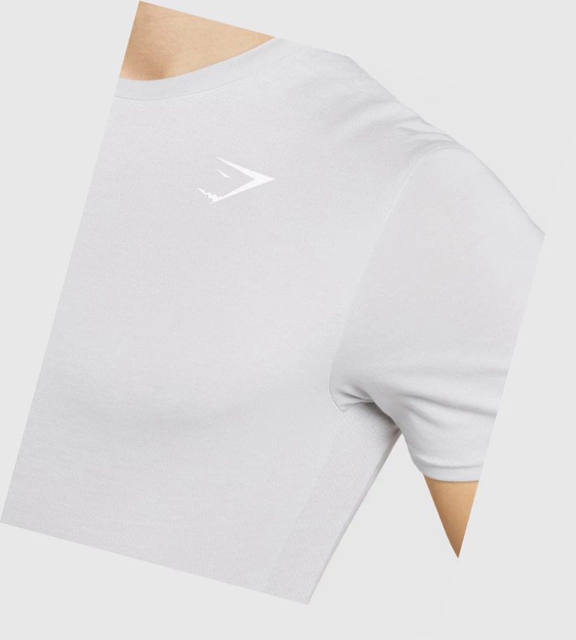 Gymshark Sports Miesten T Paidat Vaaleanharmaat | BEKGJO380