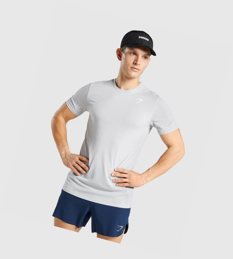 Gymshark Sports Miesten T Paidat Vaaleanharmaat | BEKGJO380