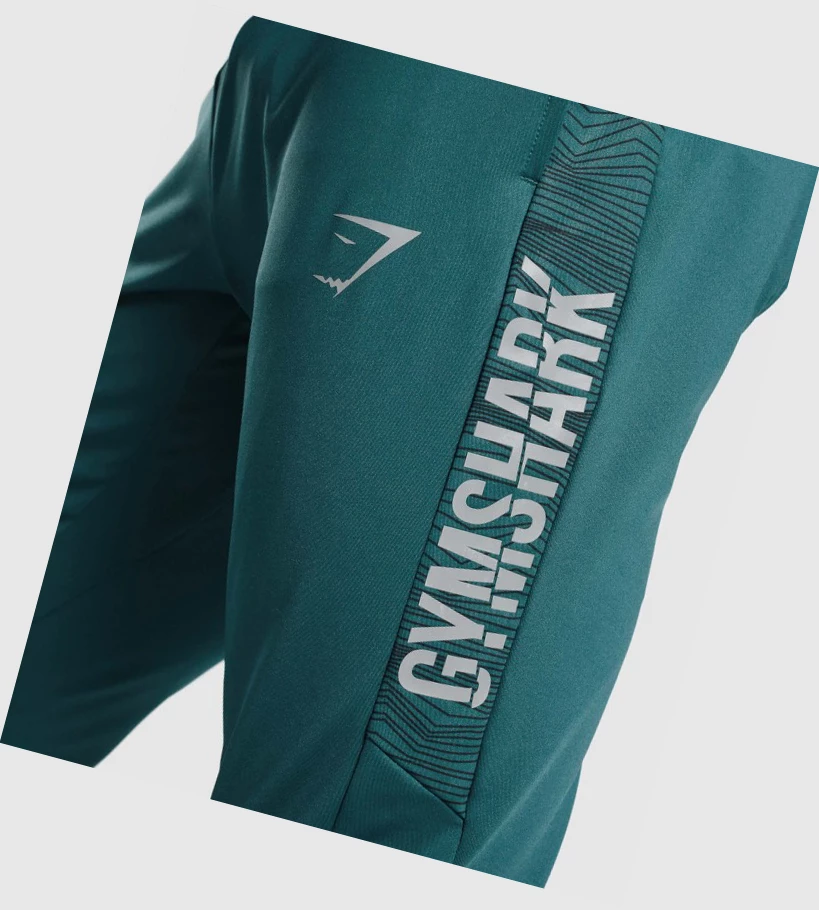 Gymshark Urheilu Miesten Juoksuvaatteet Turkoosi | IKLJNO048
