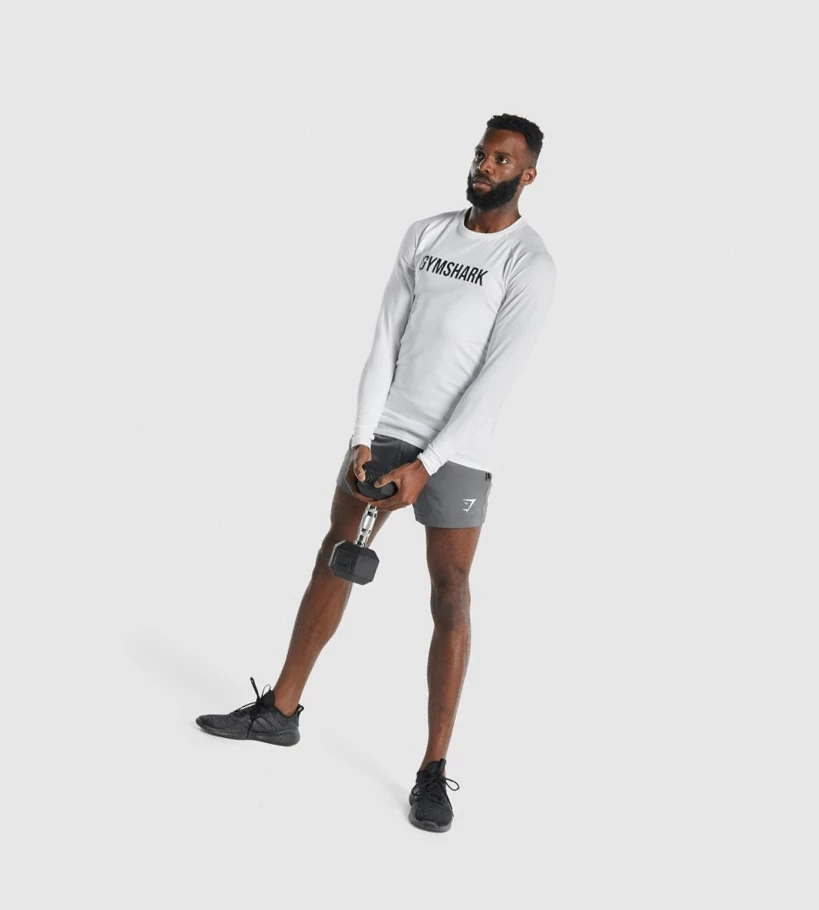 Gymshark Urheilu Miesten Shortsit Harmaat | QMCGAF517
