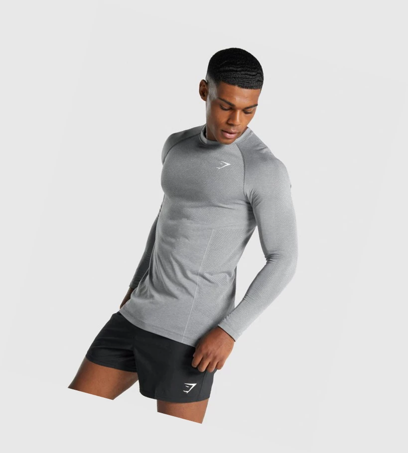 Gymshark Vital Light Seamless Miesten T Paidat Harmaat | CSIWXH814