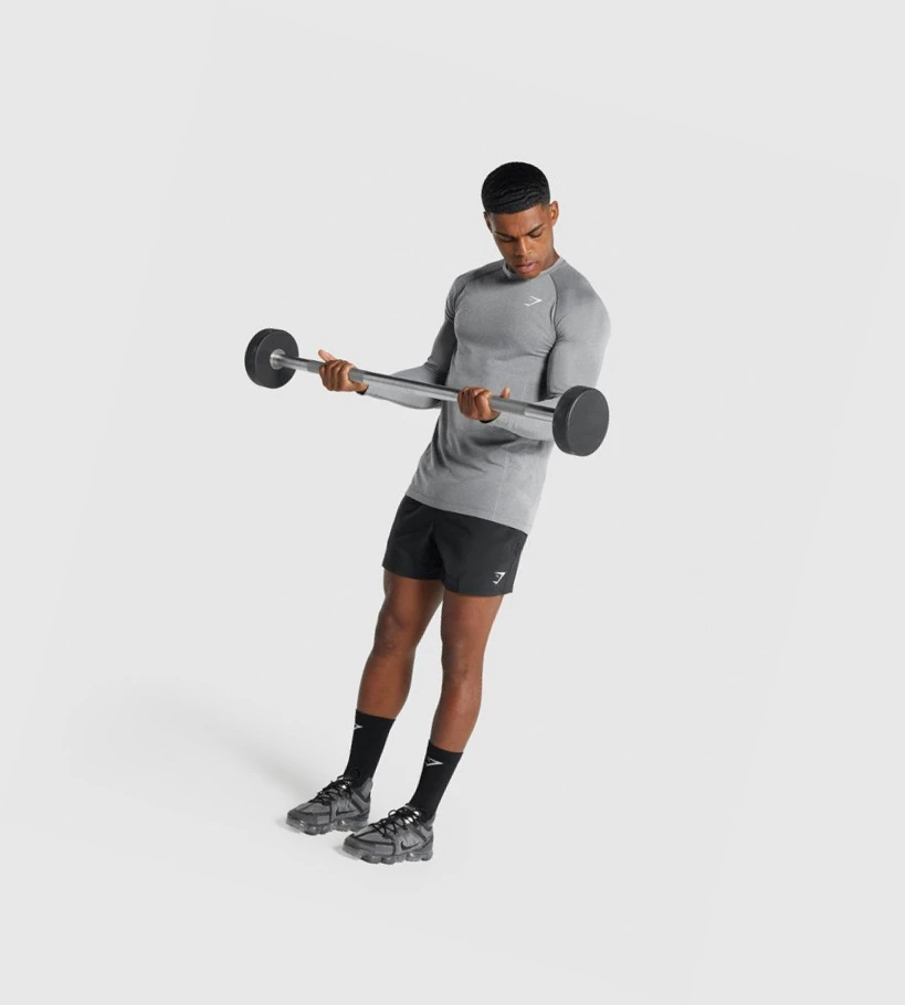 Gymshark Vital Light Seamless Miesten T Paidat Harmaat | CSIWXH814
