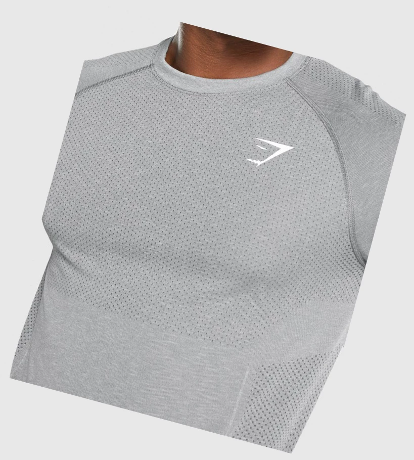 Gymshark Vital Light Seamless Miesten T Paidat Harmaat | CSIWXH814
