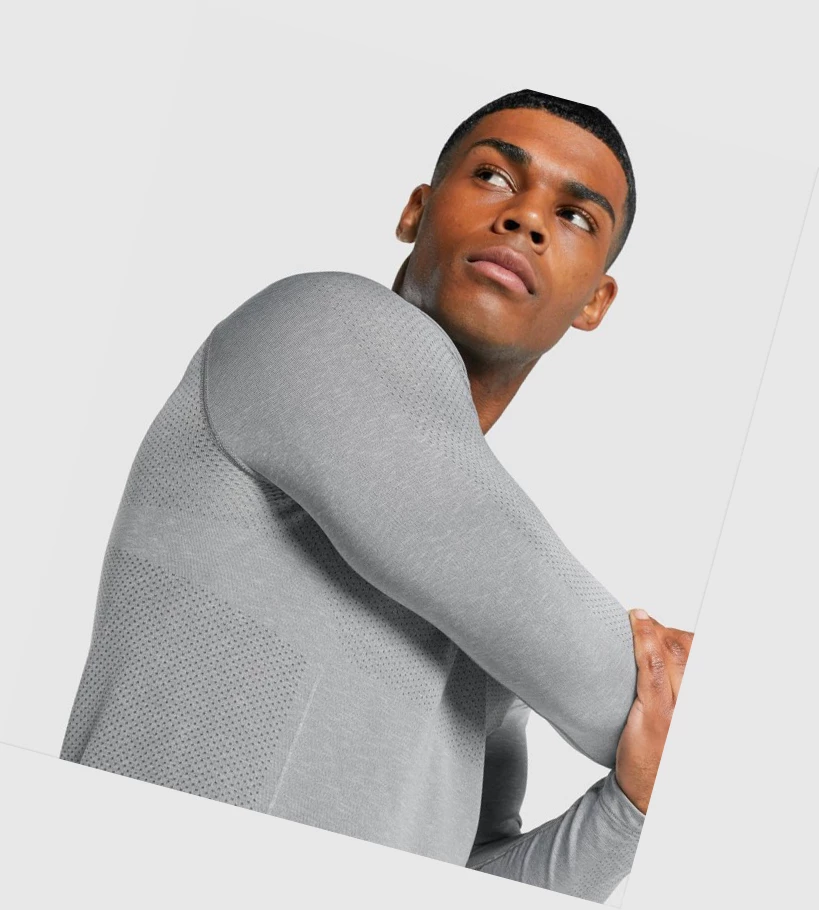 Gymshark Vital Light Seamless Miesten T Paidat Harmaat | CSIWXH814