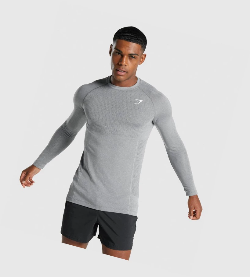 Gymshark Vital Light Seamless Miesten T Paidat Harmaat | CSIWXH814