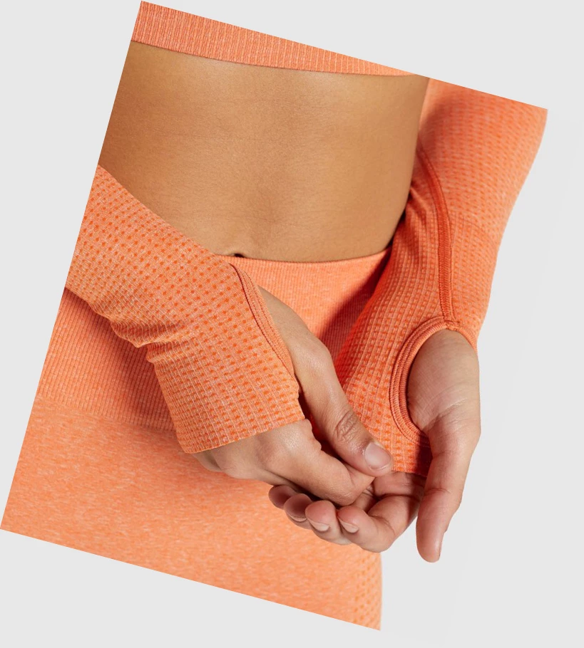 Gymshark Vital Seamless 2.0 Crop Top Naisten T Paidat Aprikoosi Oranssi | IFBCZS528