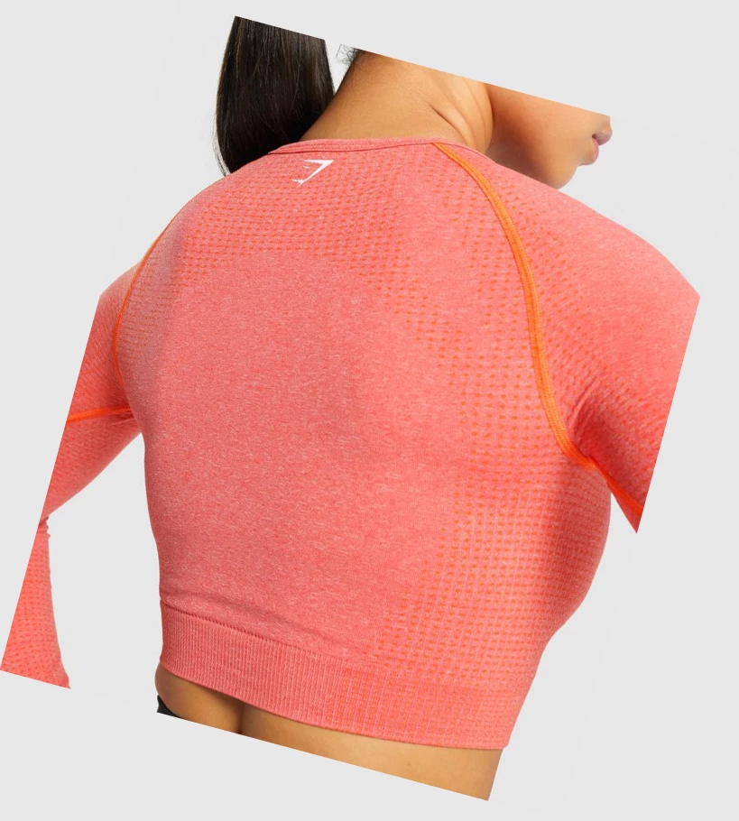 Gymshark Vital Seamless 2.0 Crop Top Naisten T Paidat Oranssi | NZKAYF974