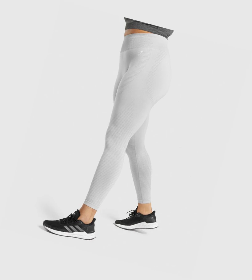 Gymshark Vital Seamless 2.0 High Waisted Naisten Leggingsit Vaaleanharmaat | MNQIJF568