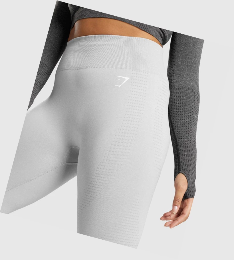 Gymshark Vital Seamless 2.0 High Waisted Naisten Leggingsit Vaaleanharmaat | MNQIJF568