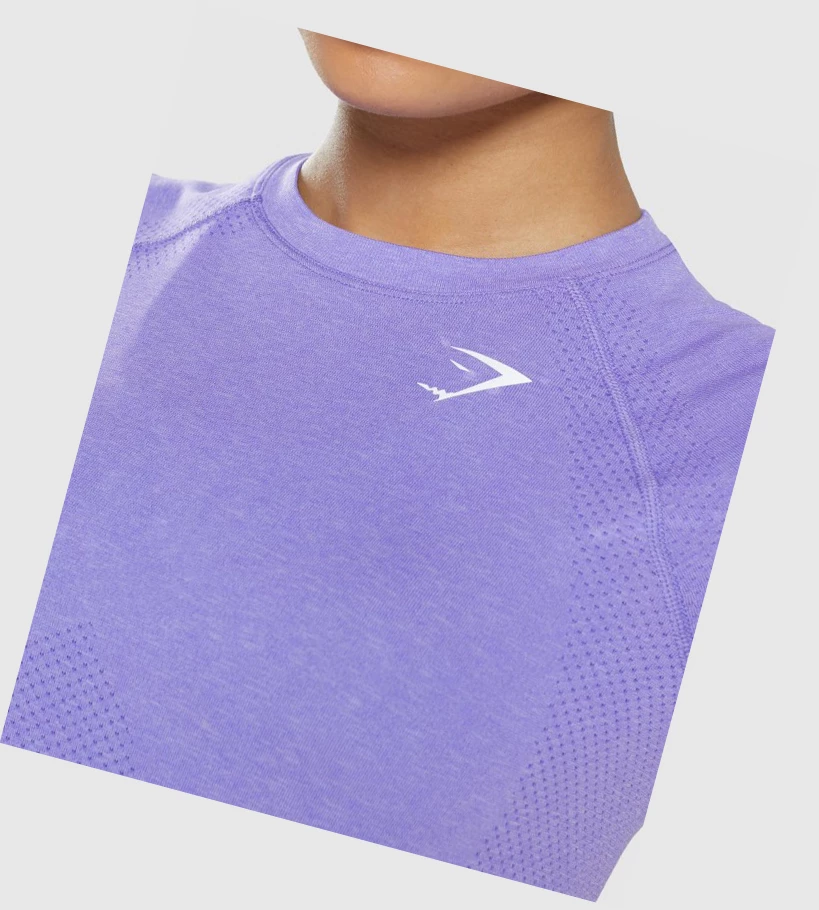 Gymshark Vital Seamless 2.0 Light Naisten T Paidat Vaaleanvioletit | DFLCME592