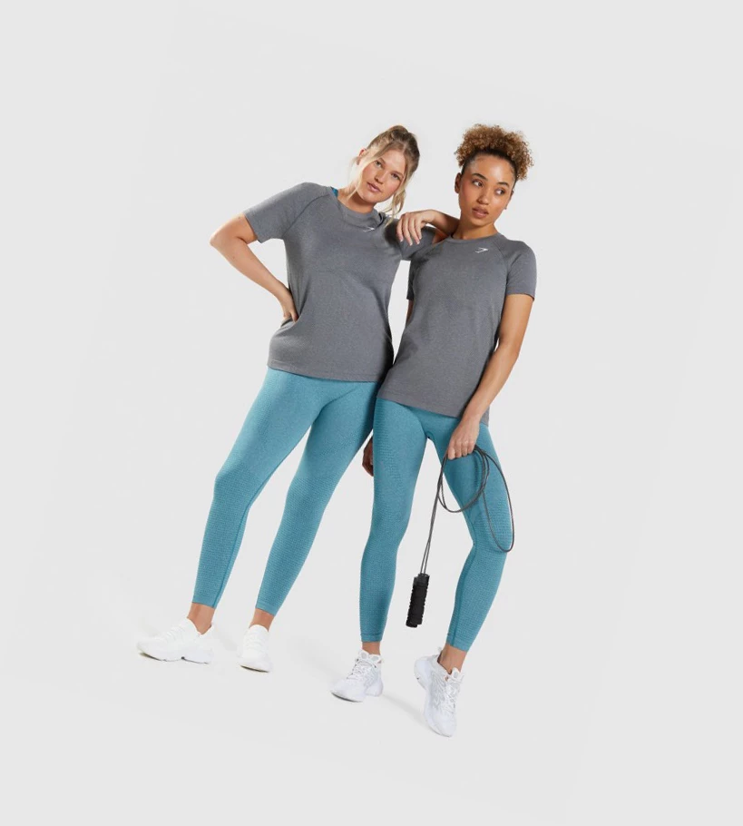 Gymshark Vital Seamless 2.0 Light Naisten T Paidat Harmaat | YPNIEC417