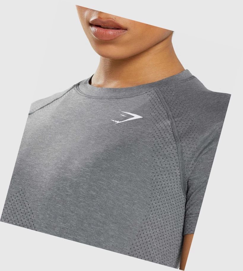 Gymshark Vital Seamless 2.0 Light Naisten T Paidat Harmaat | YPNIEC417