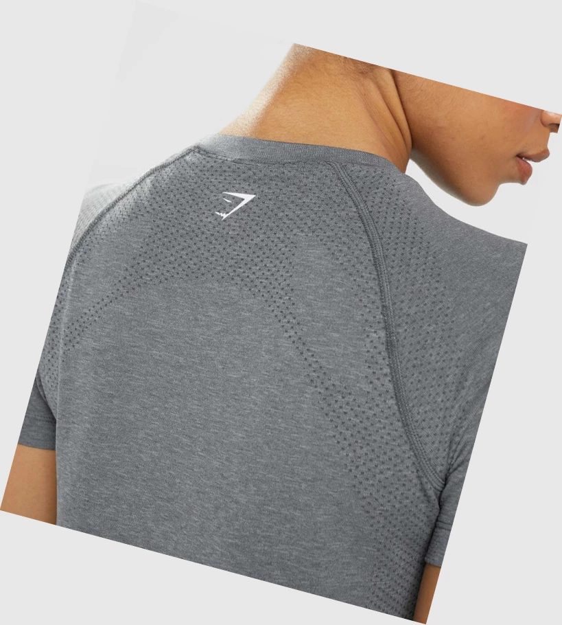 Gymshark Vital Seamless 2.0 Light Naisten T Paidat Harmaat | YPNIEC417