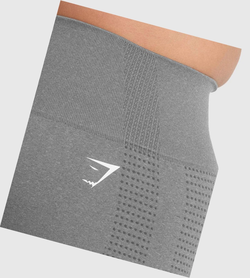 Gymshark Vital Seamless 2.0 Naisten Shortsit Harmaat | RSLQWI250