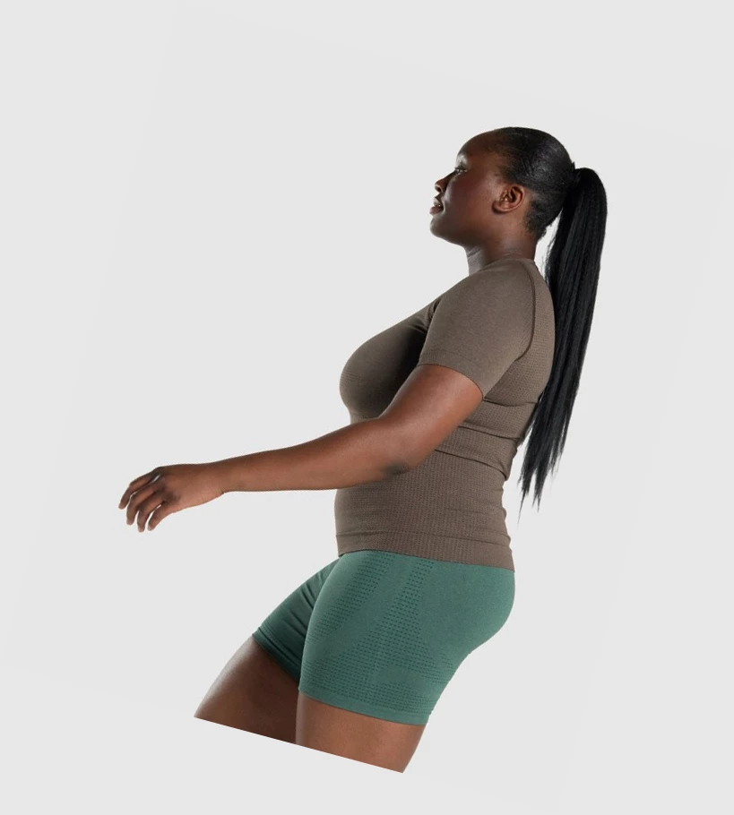 Gymshark Vital Seamless 2.0 Naisten T Paidat Ruskea | DCRMWP451
