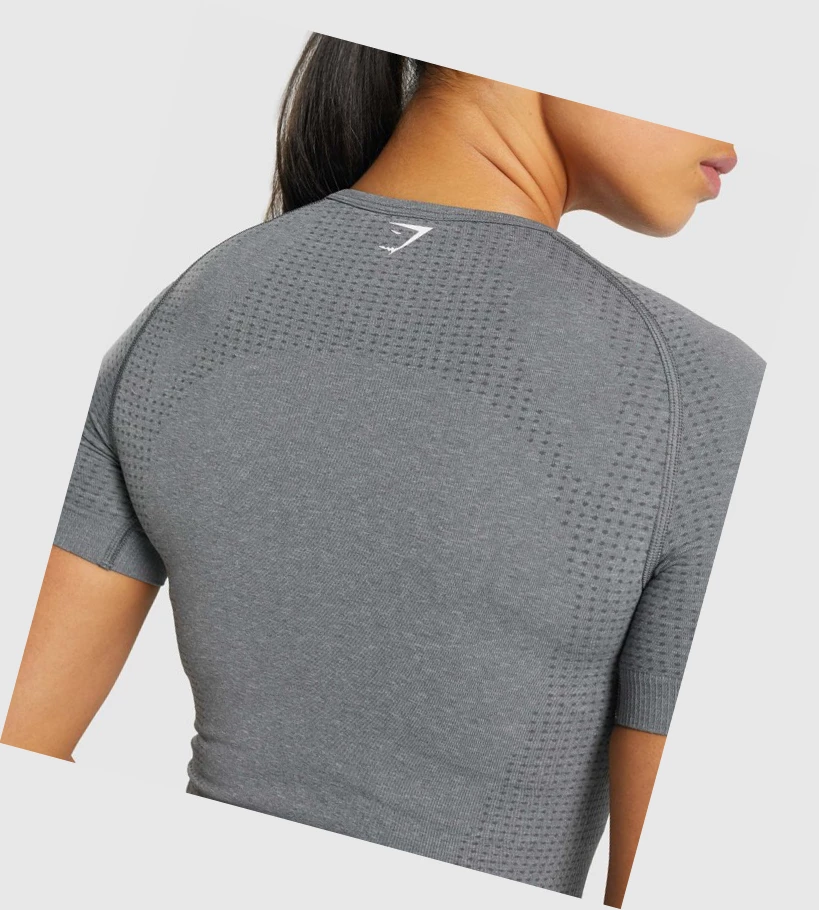 Gymshark Vital Seamless 2.0 Naisten T Paidat Harmaat | KAOTPW694
