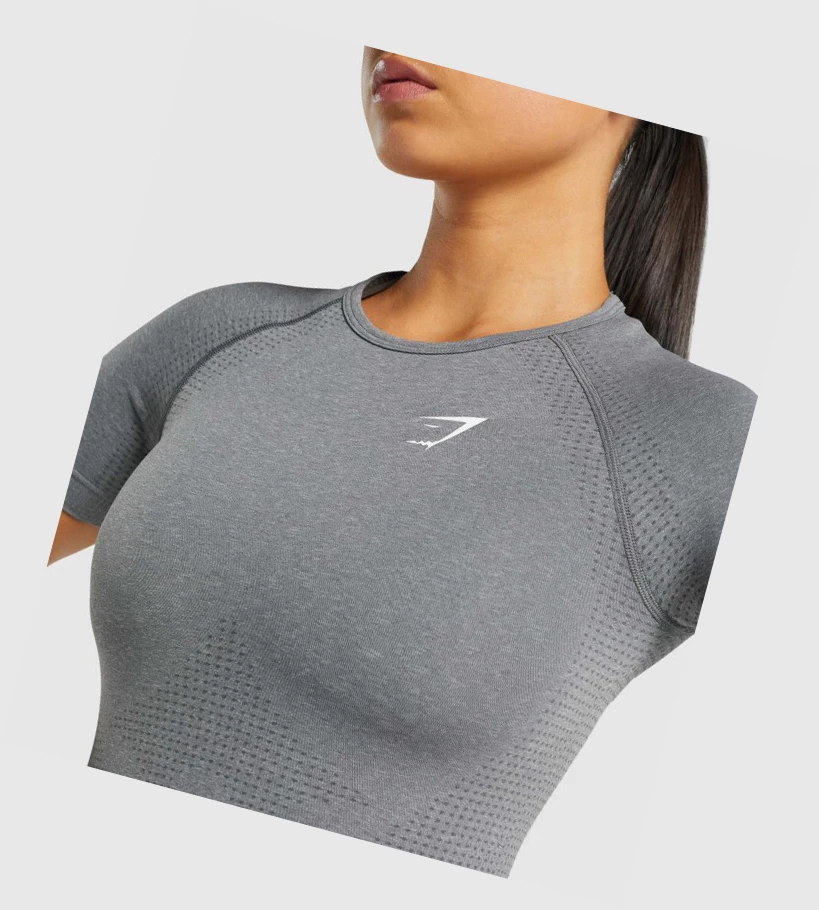 Gymshark Vital Seamless 2.0 Naisten T Paidat Harmaat | KAOTPW694