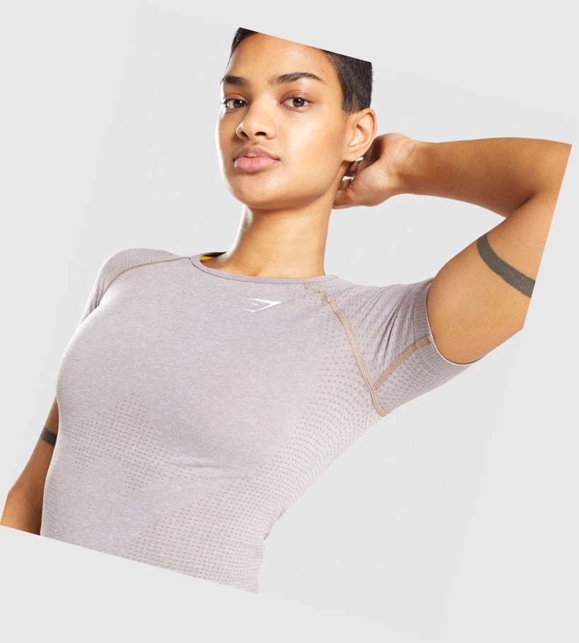 Gymshark Vital Seamless 2.0 Naisten T Paidat Harmaat Ruskea | LCAMBF863