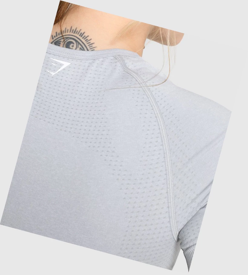Gymshark Vital Seamless 2.0 Naisten T Paidat Vaaleanharmaat | PYITDV951