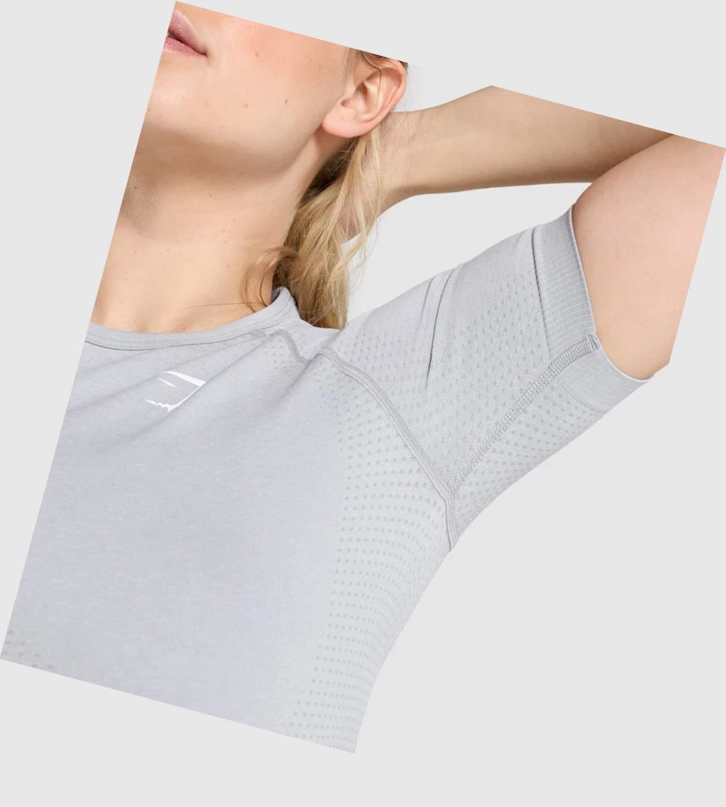 Gymshark Vital Seamless 2.0 Naisten T Paidat Vaaleanharmaat | PYITDV951